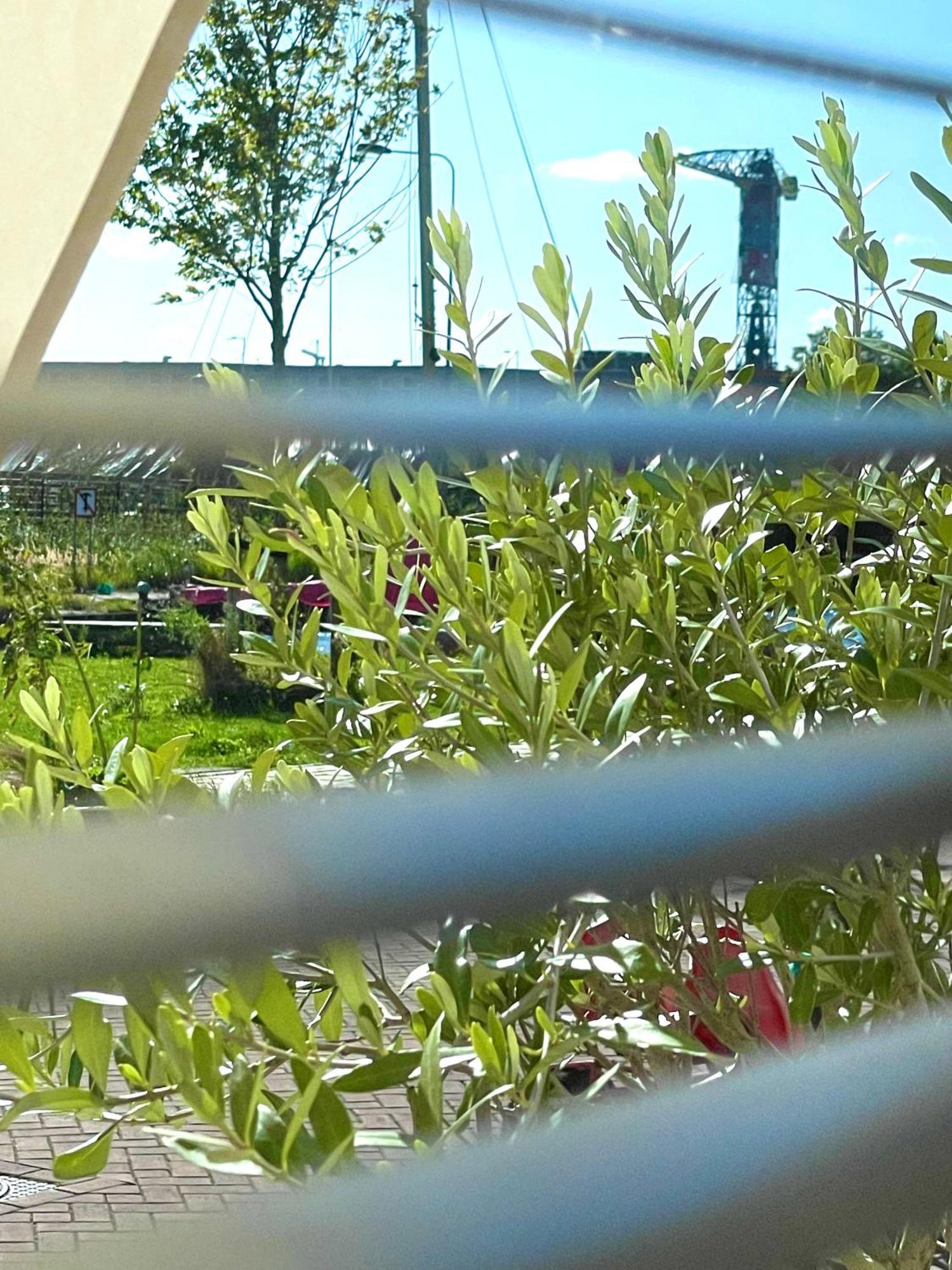 Industriele Wow! Private Studio 35M2 Άμστερνταμ Εξωτερικό φωτογραφία